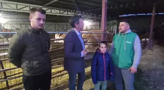 Gaytancıoğlu'nun Dinlediği Edirneli Besici: 'Dolar Kuru Sabit. Buğday, Ayçiçeği Düşüyor. Yem Fiyatları Neden Çıkıyor?'