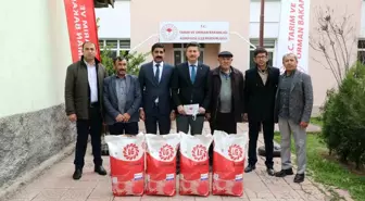 Günyüzü çiftçisi gündöndü ile kazanacak