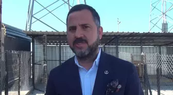 Sinop'ta Gönüllü Vatandaşlar, Yardıma Muhtaç Sokak Hayvanları İçin Barınak Kurdu