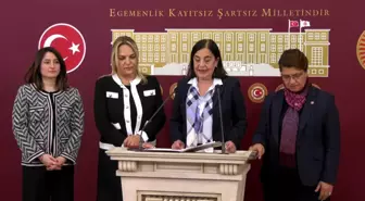 Jale Nur Süllü: Kadınların Sandıkta Gereken Dersi AKP İktidarına Vereceğine Yürekten İnanıyorum