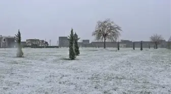 Diyarbakır'da kar yağışı etkili oldu (2)