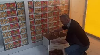 Bodrum Belediyesi Depremzede Vatandaştan 1 Ton Kayısı Aldı