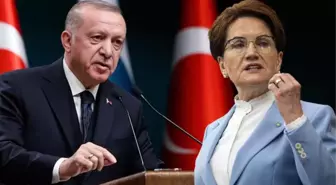 'Papatya çayı' polemiğinde 2. raunt! Bu kez Cumhurbaşkanı Erdoğan'dan Akşener'e bir tavsiye var