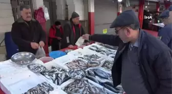 Karadeniz'de ilk defa 'Balık Ağır Metal Birikim Haritası' hazırlandı