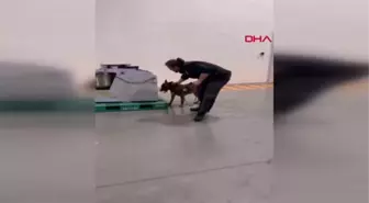 İSTANBUL HAVALİMANI'NDA HAMUR MAKİNESİNDEN 42 KİLOGRAM KOKAİN ÇIKTI