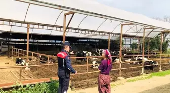 Jandarma hayvan hırsızlığına karşı bilgilendirdi