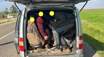 Kilis'te 40 düzensiz göçmen yakalandı