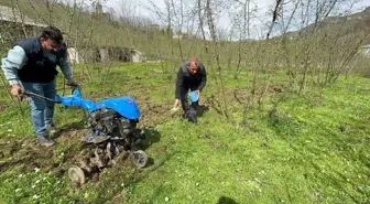 Fındıkta bilinçli gübre kullanımı verimi ikiye katladı