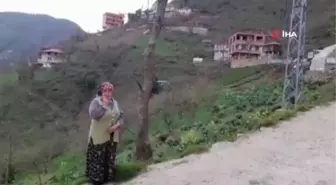 Malezyalı turistler Kuş diline hayran kaldı