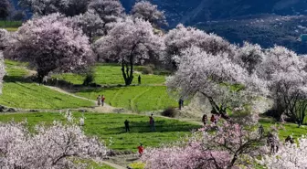 Çin'in Suosong Köyünden Bahar Manzarası