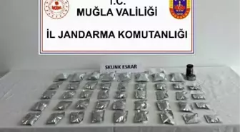 Bodrum'da uyuşturucu operasyonu: 500 gram skunk ele geçirildi