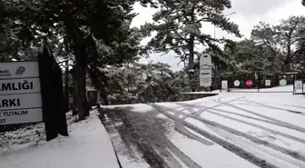 Yozgat'ta Yağan Kar Vatandaşı Şaşırttı, Çiftçiyi Sevindirdi