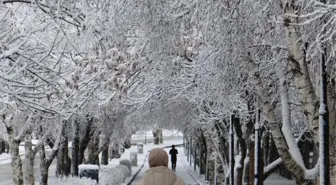 Erzurum'a nisan karı