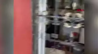 MERSİN'DEKİ ÇİFTE CİNAYETİN PLANLAYICISI ŞANLIURFA'DA SIĞINAKTA YAKALANDI