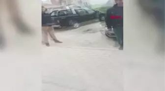 HAVSA'DA KAYBOLAN SOKAK KÖPEKLERİ İÇİN HAYVANSEVERLERDEN SUÇ DUYURUSU