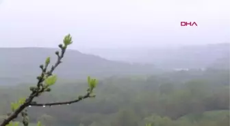 DİYARBAKIR'DA SAĞANAK; DERE TAŞTI