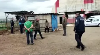 Vahşi hayvanların saldırdığı ahırdaki 15 koyun telef oldu