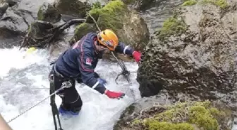 Baba ve kızı dereye düşerken boğuldu