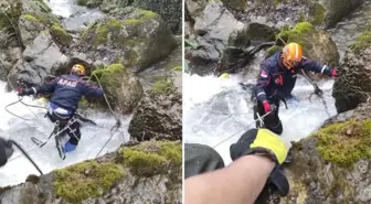 Dereye düşen kızını kurtarmak için o da atladı! İkisinin de cesedini buldular