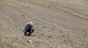 Soğanın başkentinden tüketiciye müjde