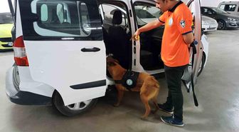 Bomba arama köpeği 'Niobe' göreve hazır