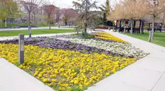 Kırşehir Belediyesi'nden Kent Park'ta Temizlik ve Peyzaj Çalışması