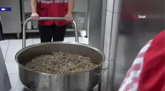 Depremzedeler bayram için Bolu'da yaprak sardı