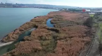 İstanbul'da barajların doluluk oranı yüzde 45'in üzerine çıktı