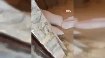 Diyarbakır'da sağanak yağış sonrası dolu etkisini gösterdi