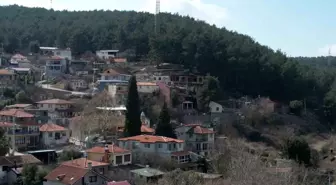 Asırlık camiye ve ormanlarına gözü gibi bakıyorlar