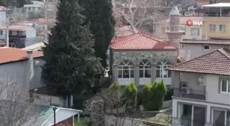 Asırlık camiye ve ormanlarına gözü gibi bakıyorlar