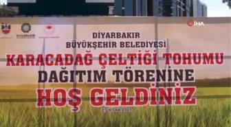 93 çiftçiye 169 ton tescilli 'Karacadağ Pirinci' tohumu dağıtıldı