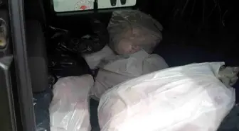 Menteşe'de 563 kilo kaçak et yakalandı