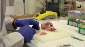 Sığır aort damarından 3D yazıcıyla doğal insan aort damarı