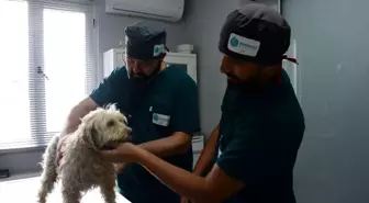 Yeni Proteo'lar bu bakım evinde yetişecek