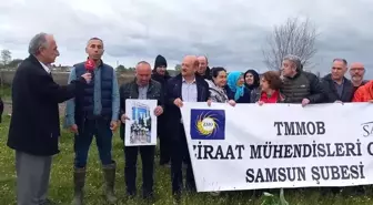 Bafralı Çiftçiler, Samsun Büyükşehir Belediyesi'nin Hal Porjesine Tepki Gösterdi: 'Bu Bölge, Sit Alanında Olup, Dere Yatağı Niteliğindedir.