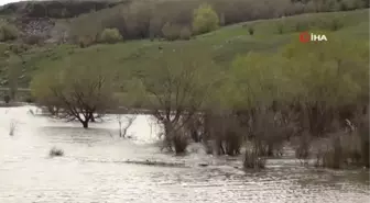 Kars'ta ağaçlar baraj suları altında kaldı