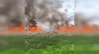 Van Gölü kıyısındaki sazlık alanda çıkan yangın söndürüldü