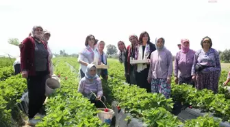 Aydın'da Selvi Kılıçdaroğlu ve Özlem Çerçioğlu emekçi kadınlarla buluştu