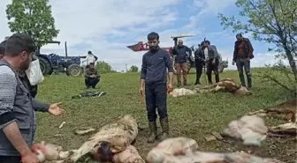 Diyarbakır'da yıldırım düştü: 1 yaralı, 5 inek öldü