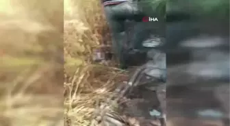 Hatay'da köpeğe işkence kamerada