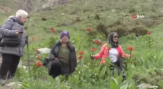 Yerli turistler Kato Dağı'nda