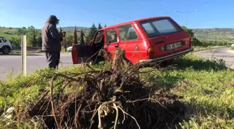 Kontrolden çıkan otomobil çarptığı ağacı kökünden söktü