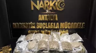 Antalya'da Nisan ayında 16 kilogram esrar, 19 kilogram skunk ele geçirildi