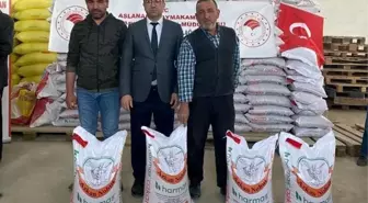 Aslanapa'da çiftçilere yüzde 50 hibeli 25 ton nohut tohumu dağıtıldı