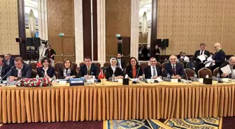 Aydemir'den KEİPA değerlendirmesi