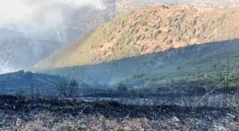 KKTC'nin Yeşilırmak köyünde yangın