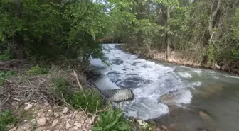 Malatya'da Şahnahan Deresi atık suyla kirletiliyor