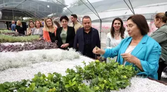 Selvi Kılıçdaroğlu Büyükşehir'in bitki üretim tesisini gezdi