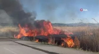 Van'da sazlık yangınları devam ediyor